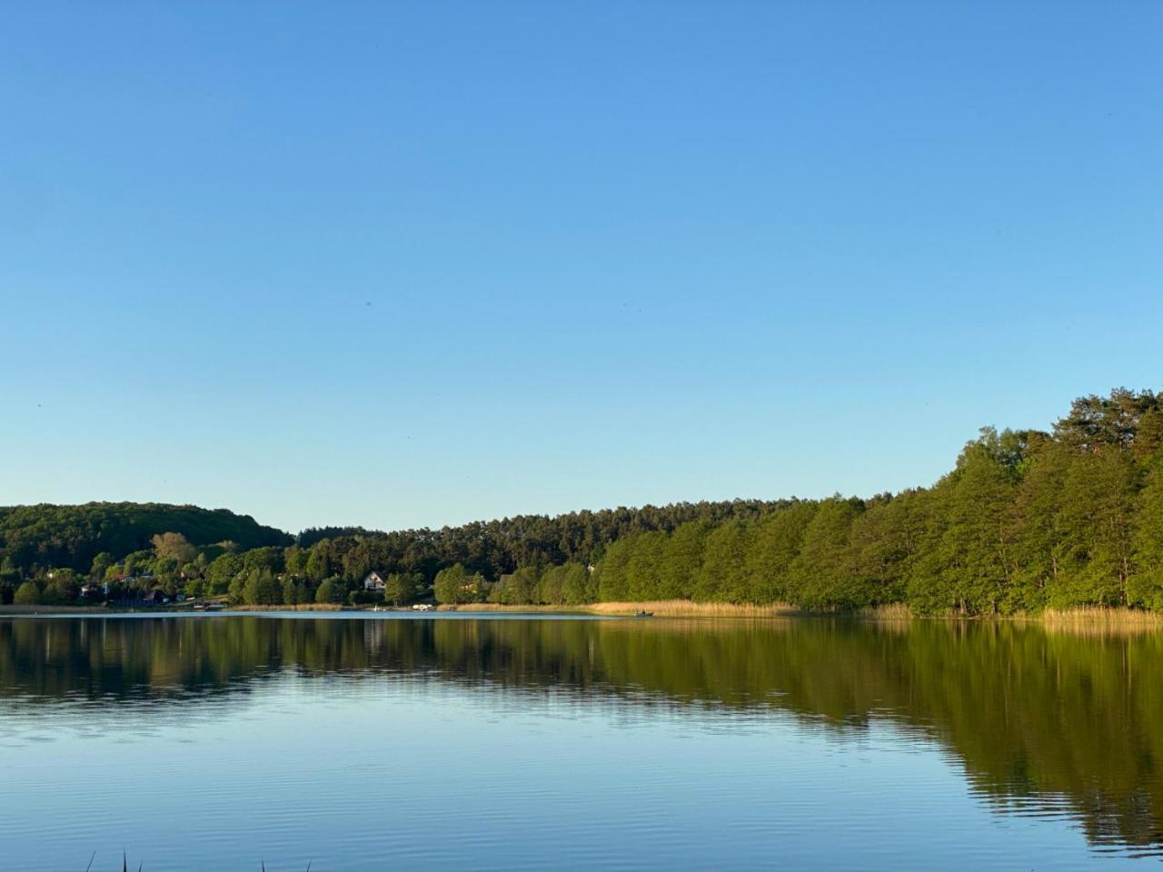 Studio Wiselka Lesna Экстерьер фото